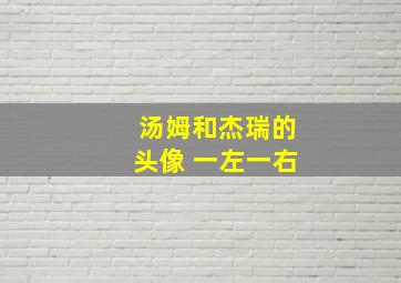 汤姆和杰瑞的头像 一左一右